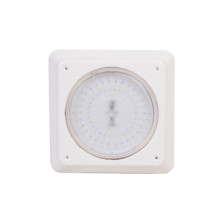 Slim Flat Kare &Ccedil;er&ccedil;eve (23 cm &Ccedil;ap )